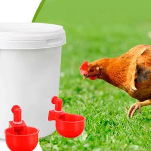 ChickenBowl, poidło dla kur i innego drobiu (6 sztuk)