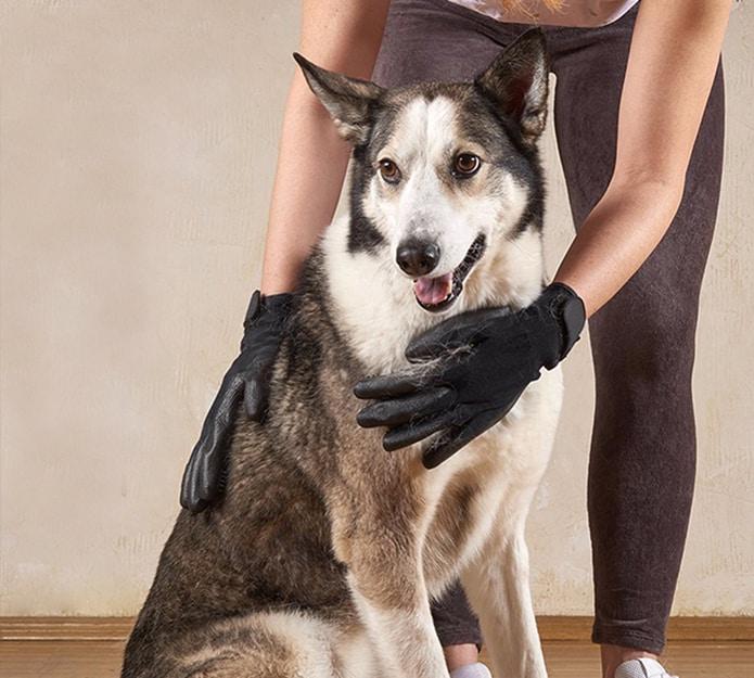 Pawly premium DUO